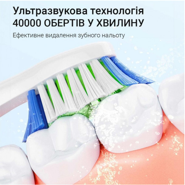 Фото - Зубна щітка електрична Bitvae D2 (BV-D2-w-cup)