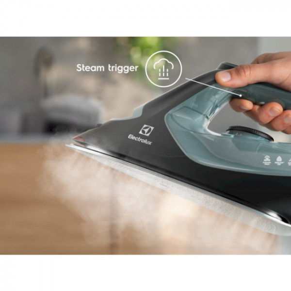 Фото - Утюг Electrolux E7SI2-6OG