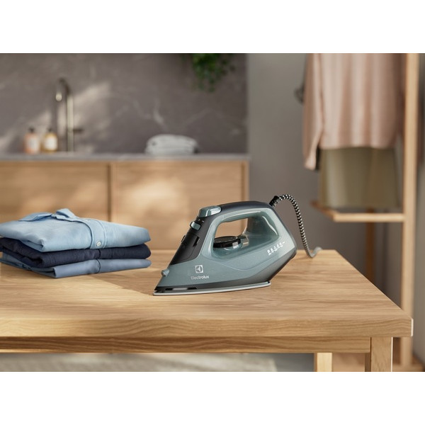 Фото - Праска Electrolux E5SI2-6OG