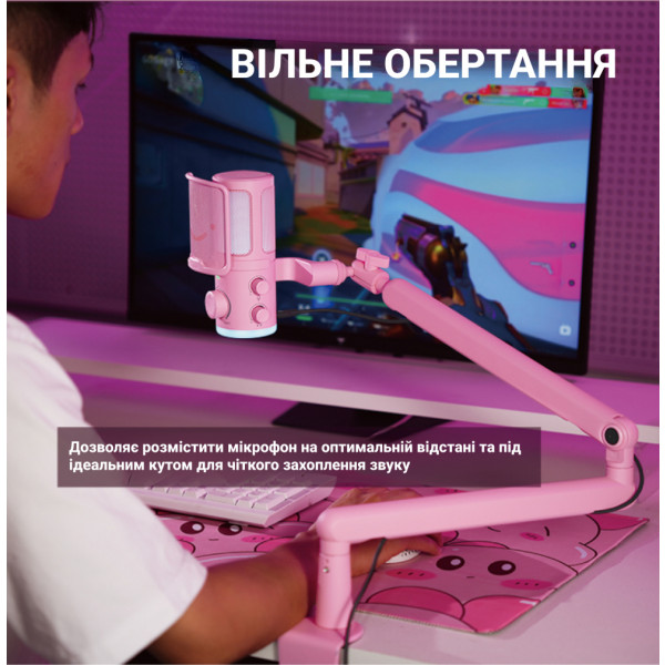 Фото - Мікрофон до комп'ютера Fifine TAM6P