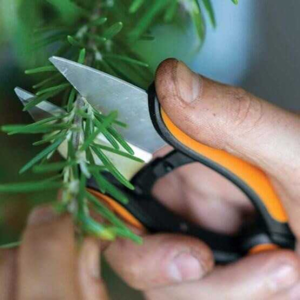 Фото - Ножницы садовые Fiskars Solid SP220 (1063326)