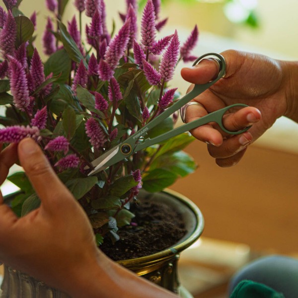 Фото - Ножницы садовые Fiskars Plant Care (1075315)