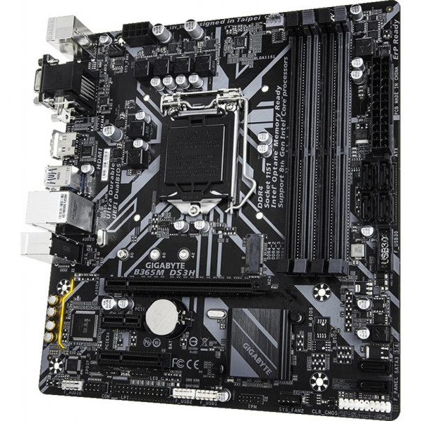 Фото - Материнская плата Gigabyte B365M HD3