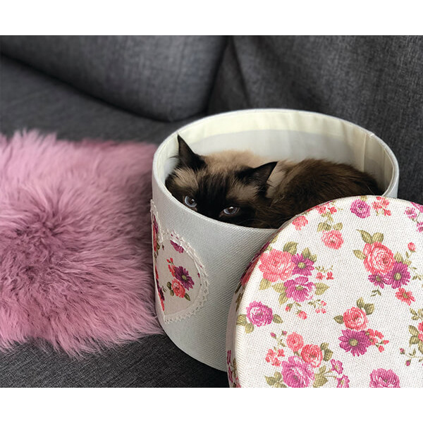 Фото - Короб для зберігання Handy Home 30х30х20 см (FB-22)