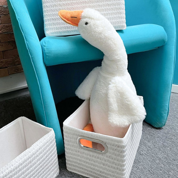 Фото - Короб для хранения Handy Home 31х22х19 см (QR10F-L)