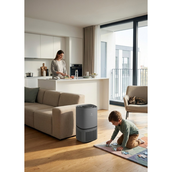 Фото - Очиститель воздуха Electrolux Pure 300 Grey (EPO30311UG)