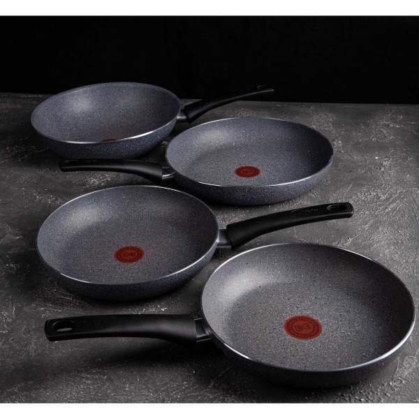 Фото - Сковорода універсальна Tefal D4560432 Hard Stone 24 см