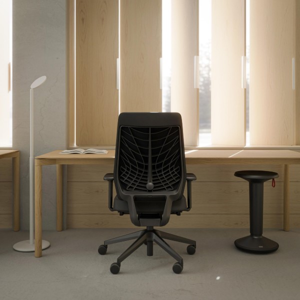 Фото - Кресло офисное Interstuhl JOYCEis3 JC216 ER01/black mesh