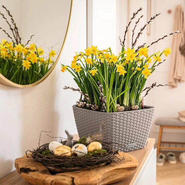 Фото - Вазон Lechuza 30 Bacino Cottage Бежевий (15458)