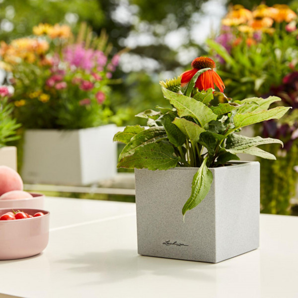 Фото - Вазон Lechuza CANTO Stone 14 кварцовий білий 13477