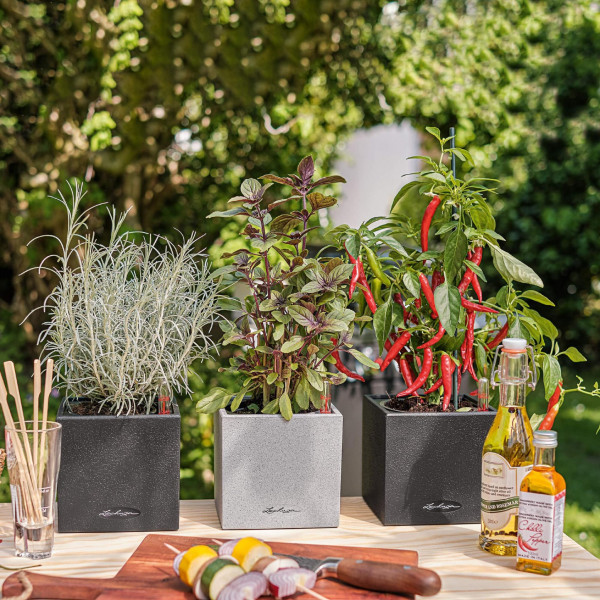 Фото - Вазон Lechuza CANTO Stone 14 кварцовий білий 13477