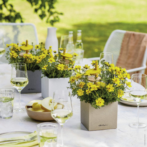 Фото - Вазон Lechuza CANTO Stone 14 кварцовий білий 13477