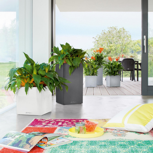 Фото - Вазон Lechuza Canto Stone High 40 Антрацит 13653