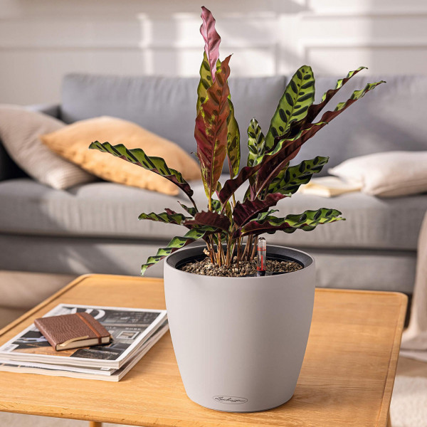 Фото - Вазон Lechuza CLASSICO Color LS 35 песочно-коричневый 14282