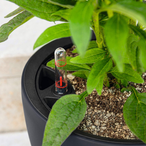 Фото - Вазон Lechuza CLASSICO Color LS 35 песочно-коричневый 14282