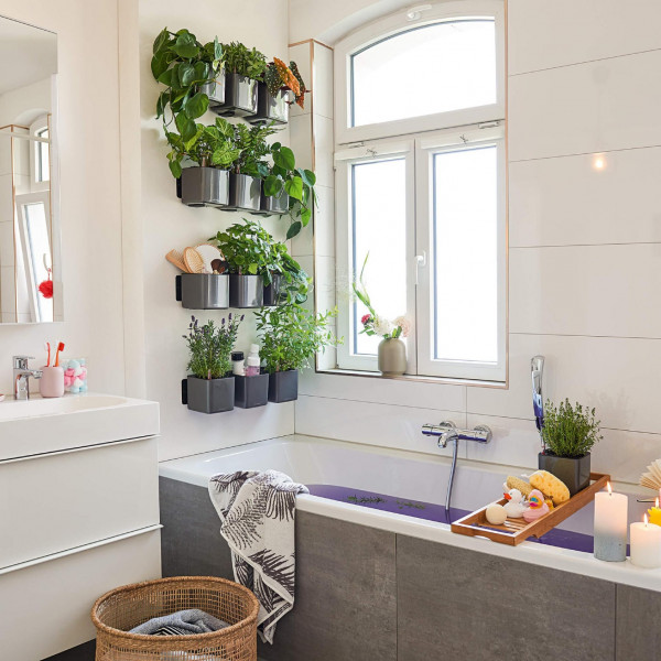 Фото - Набір кашпо Lechuza Green Wall Home Kit Glossy, 48х6х14 см, антрацит 13524