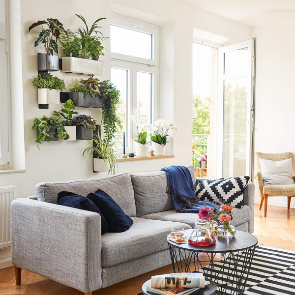 Фото - Набір кашпо Lechuza Green Wall Home Kit Glossy, 48х6х14 см, антрацит 13524