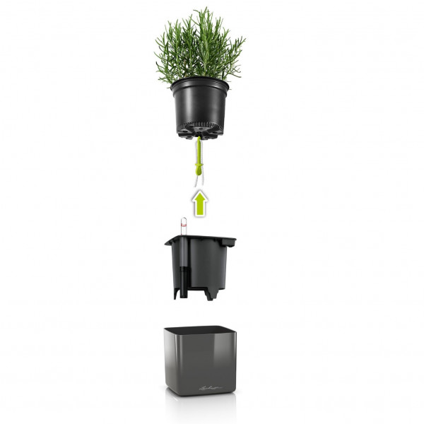 Фото - Набір кашпо Lechuza Green Wall Home Kit Glossy, 48х6х14 см, антрацит 13524