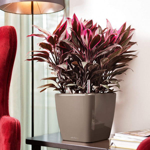 Фото - Вазон Lechuza Quadro Premium LS 21 білий 16120