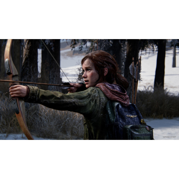Фото - Игровой диск PS5 The Last of Us Part I