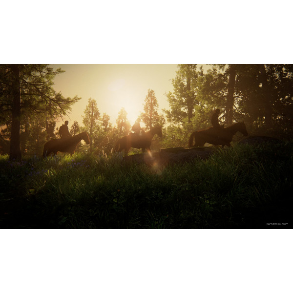 Фото - Игровой диск PS5 The Last of Us Part I