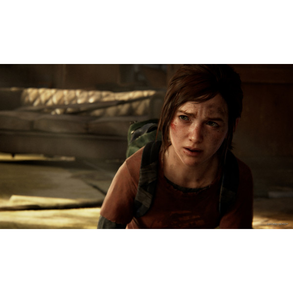 Фото - Игровой диск PS5 The Last of Us Part I