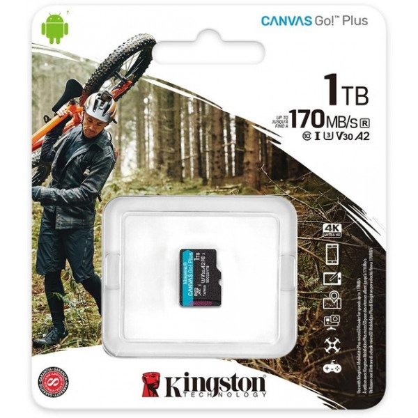 Фото - Карта пам'яті Kingston microSDXC Canvas Go! Plus 1TB UHS-I U3 V30 A2 Class 10 (SDCG3/1TBSP)