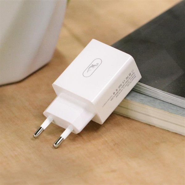 Фото - Мережевий зарядний пристрій SkyDolphin SC30V 2USB, 2.1A White (SDMZP-000114) + кабель microUSB