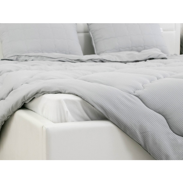 Фото - Ковдра всесезонна двоспальна Руно 172х205 силіконова Soft Line (316.52_Soft Line)