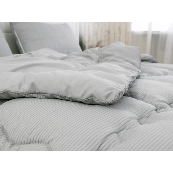 Фото - Ковдра всесезонна двоспальна Руно 172х205 силіконова Soft Line (316.52_Soft Line)