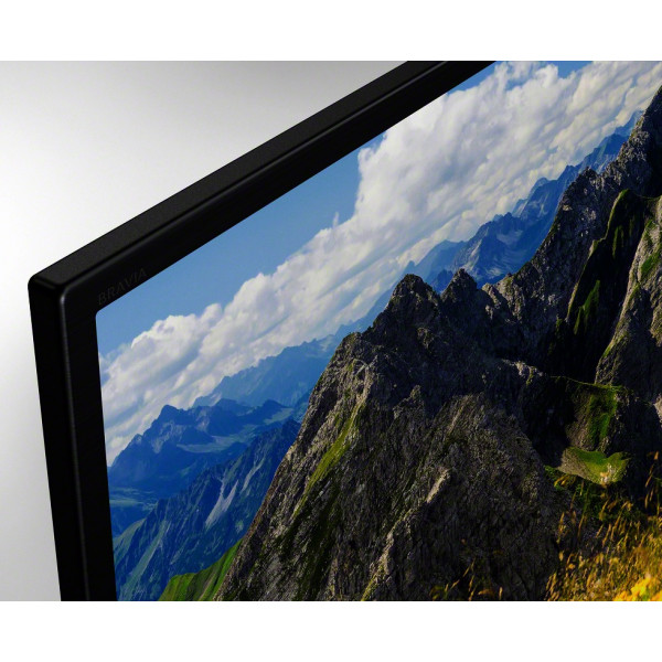 Фото - Телевизор Sony KD43XF7096BR