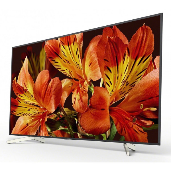 Фото - Телевизор Sony KD85XF8596BR2