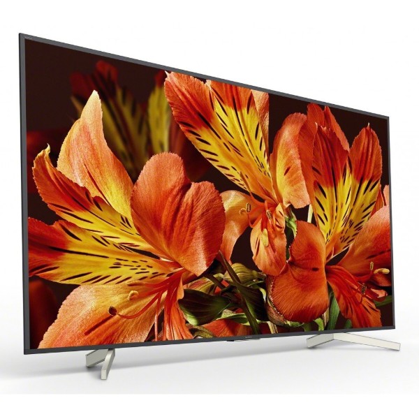 Фото - Телевизор Sony KD85XF8596BR2