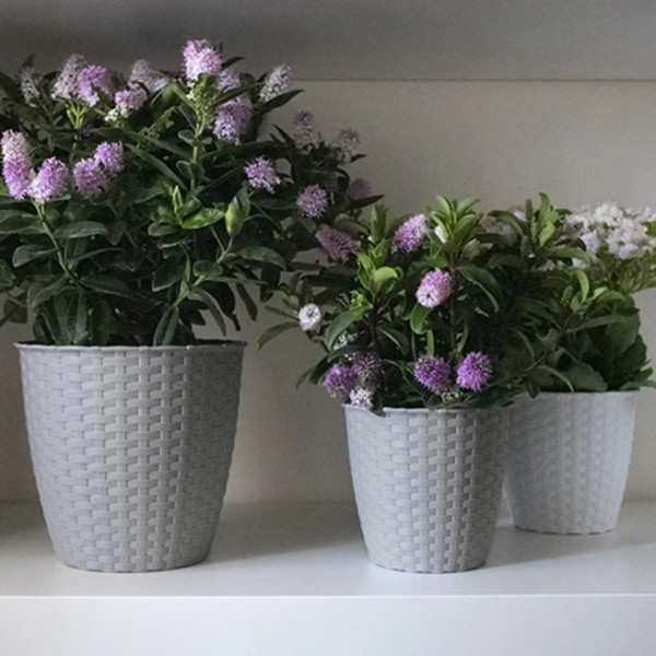 Фото - Вазон Stefanplast NATURAL 14 см 73806