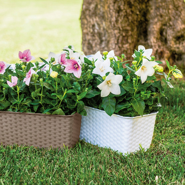 Фото - Вазон Stefanplast NATURAL 30х13х11 см 73602