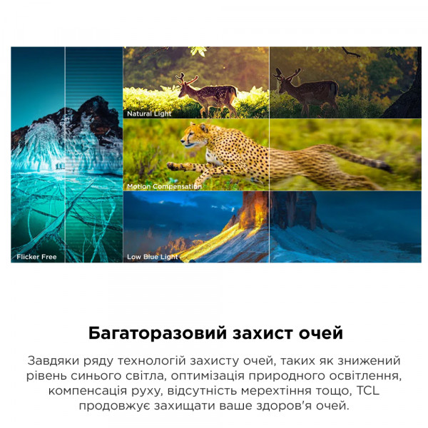 Фото - Телевізор TCL 43P755