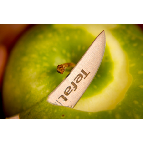 Фото - Нож для овощей Tefal K2321214 Ice Force 7 см