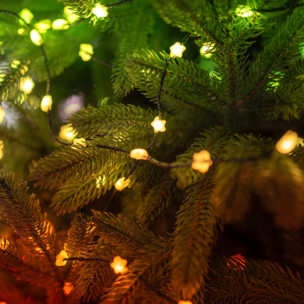 Фото - Гирлянда фигурная Twinkly Strings Star RGB 100 IP20 6м USB-C (TWKS100RGB-T)