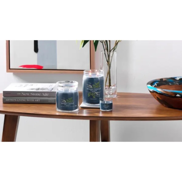 Фото - Свічка скло Yankee Candle Mini Bayside Cedar (Прибережний Кедр) 37 г (1686345E)