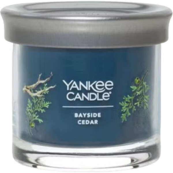 Фото - Свічка скло Yankee Candle Small Bayside Cedar (Прибережний Кедр) 122 г (1744755E)