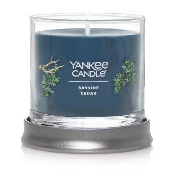Фото - Свічка скло Yankee Candle Small Bayside Cedar (Прибережний Кедр) 122 г (1744755E)