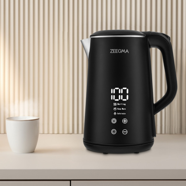 Фото - Електричний чайник Zeegma KETLEE CONTROL