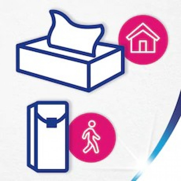 Фото - Серветки паперові Zewa Deluxe Ромашка 3 слоя 10 шт. х 10 пачек (7322540098846)