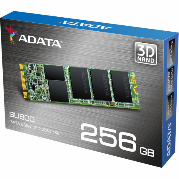 Фото - SSD-накопитель внутренний ADATA SU800 256GB M.2 SATA 3.0 3D V-NAND TLC (ASU800NS38-256GT-C)