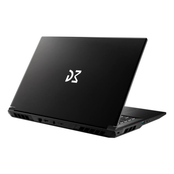 Фото - Ноутбук ігровий Dream Machines CI9-14900HX (RG5060-17UA28) Black