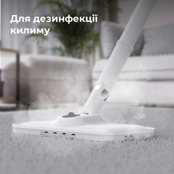 Фото - Пароочисник AENO ASM0001