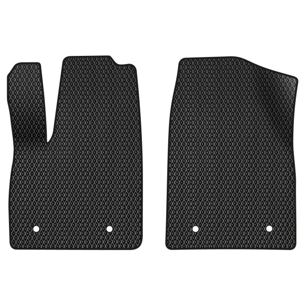 Фото - EVA килимки в салон авто передні EVAtech для Alpha-S Arcfox 2020 1 покоління Liftback China (AF43649A2AV4RBB)