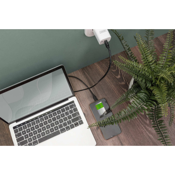 Фото - Кабель USB Type-A - USB Type-A Digitus USB-A > USB-C 3 м Black (AK-300148-030-S)