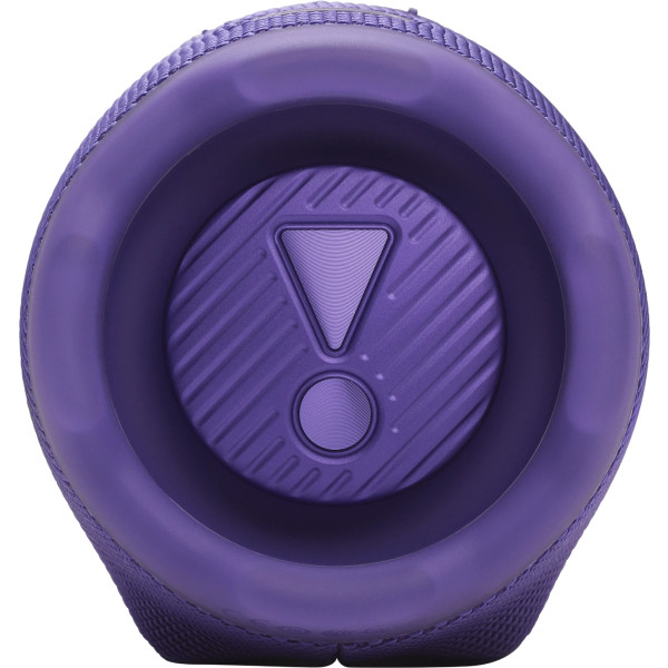 Фото - Портативная акустика JBL Charge 6 Purple (JBLCHARGE6PUR)