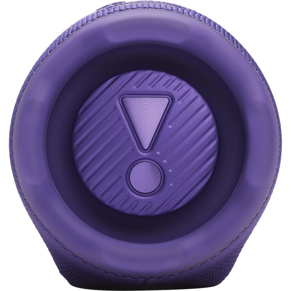 Фото - Портативная акустика JBL Charge 6 Purple (JBLCHARGE6PUR)